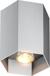 Lampa sufitowa Zumaline Polygon CL 1L 1x50W 