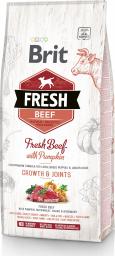  Brit Fresh Beef & Pumpkin Puppy Large Growth & Joints 12kg