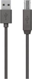 Kabel USB Belkin USB-A - USB-B 1.8 m Czarny (F3U154BT1.8M)