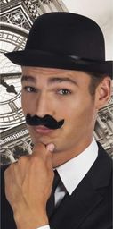 Aster Wąsy Gentleman uniw