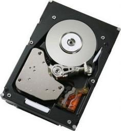 Dysk serwerowy IBM 900GB 2.5'' SAS-2 (6Gb/s) (81Y9915)