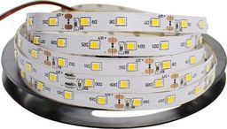 Taśma LED Eko-Light 24W/m 12V  (EKPL1808)