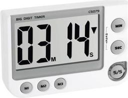  TFA 38.2024 electronic timer