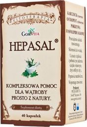  Gorvita GORVITA_Hepasal suplement diety 40 kapsułek