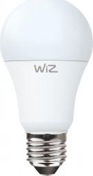  WiZ E27 A60 9W WiFi (WZE20026041)