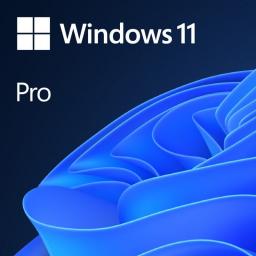 System operacyjny Windows 11 Pro PL 64 bit OEM