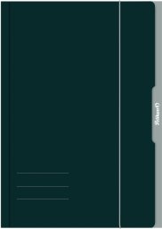 Pelikan Pelikan 276856 okładka Karton Zielony A3