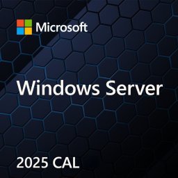 Microsoft Microsoft OEM Win Svr CAL 2025 Device PL 1Clt EP2-25232