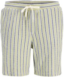 Jack & Jones Jack&Jones męskie szorty w paski JPSTJAIDEN COBA STRIPE JOG SHORTS REG SN 12274413 TEA/STRIPES M