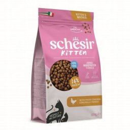 Schesir karma sucha kurczak SR-4066