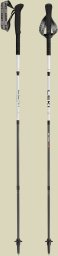 Leki Kije SKYTERA FX.One SL naturalcarbon-white-neonoran 110 (65620641110)