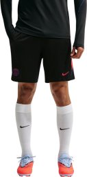 Nike Spodenki męskie Dri-FIT PSG czarne II2611 010 L