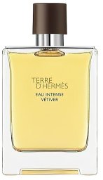 Hermès Hermes, Terre d`Hermes Intense Vetiver, Eau De Parfum, For Men, 200 ml For Men