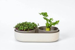 Zestaw do uprawy mikroliści 30.5x16 cm beżowy URBALIVE Microgreens