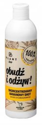 PlantLover Plant Lover nawóz obudź i odżyw płyn 0,3L