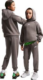 Nike Dres dla dzieci Sportswear Club Fleece szary HQ9318 289 M