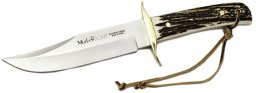 Muela Bowie Stag (BW-CLASIC-16A)