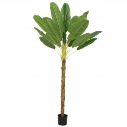 Kaemingk Bananowiec drzewko w doniczce sztuczne dekoracyjne 230cm (KAE321959/ALL)