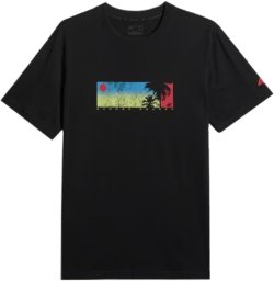 4f Koszulka męska sportowa T-shirt okrągły dekolt M3335
