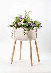 Lumarko PLASTIA Kwietnik domowy 77 x 50 x 38 cm, kremowy (1606955040)