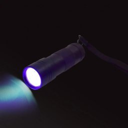 Latarka Streamlight Mała latarka LED UV EDUKAMP (3808657520288)