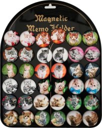 Aliga Magnesy koty 3,5cm 36szt
