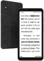 Smartfon Bigme Hibreak Pro 5G 8/256GB Czarny  (6973555480686)