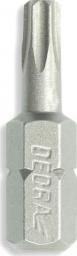  Dedra Końcówki wkrętakowe Torx T10x25mm, 3szt blister (18A03T100-03)