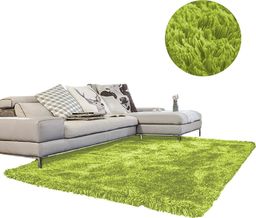 Dywan - Living Room Shaggy 250x300 - Green uniwersalny