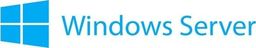 HP Microsoft Windows Server 2019 CAL (P11076-A21)