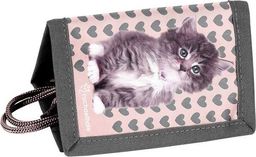 Paso Portfel Rachael Hale RLD-002 PASO