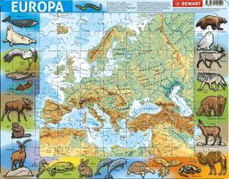  Demart Puzzle ramkowe - Europa fizyczna