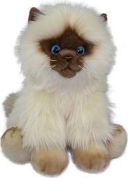  Anek Fluffy Fam kot Siamese 30cm