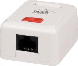  Solarix socket CAT5e UTP 1 x RJ45 montowane na białym tle (na dole wylot) SX108-5E-UTP-WH