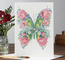 DM Collection Karnet A063 B6 + koperta Motyl