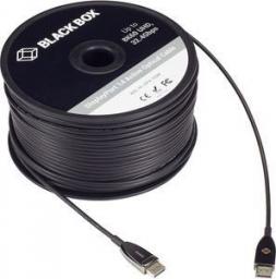 Kabel Black Box DisplayPort - DisplayPort 30m czarny (AOC-HL-DP4-30M)