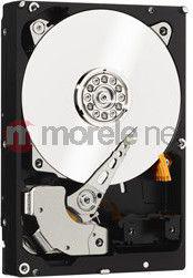 Dysk Western Digital Black 2 TB 3.5" SATA III (WD2003FZEX)