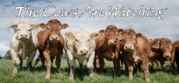 The Cows Are Watching PC, wersja cyfrowa