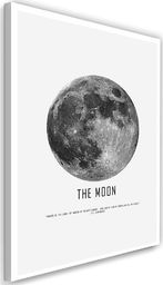  Feeby Obraz na płótnie – Canvas, księżyc 40x60