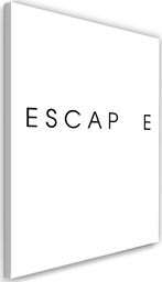  Feeby Obraz na płótnie – Canvas, napis escape 40x60