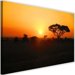  Feeby Obraz na płótnie – Canvas, afrykański zachód słońc 60x40