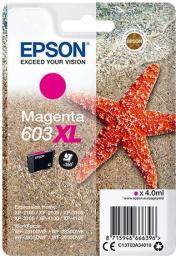 Tusz Epson Tusz 603XL Magenta (C13T03A34010)