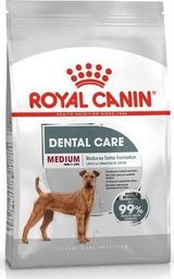  Royal Canin Karma CCN MEDIUM DENTAL CARE 10kg 
