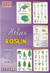  Ilustrowany atlas szkolny. Atlas roślin