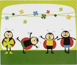  Daiber Ladybug 13x18 Children Portrait folders