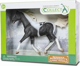 Figurka Collecta KOŃ OGIER RASY PÓŁARABSKIEJ-PINTO 1:12