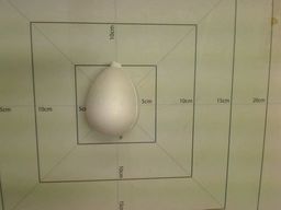 Aliga Kula styropianowa 8cm op.12szt B-8