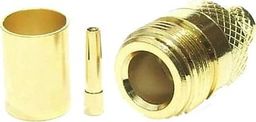 Tajwan Gniazdo N żeńskie Gold na kabel H1000