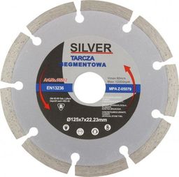  Silver TARCZA DIAMENTOWA SEGMENTOWA 125 x 22,2 x 7mm EX10202