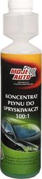 Moje Auto Moje Auto letni koncentrat do spryskiwaczy 100:1 leśny 250ml uniwersalny